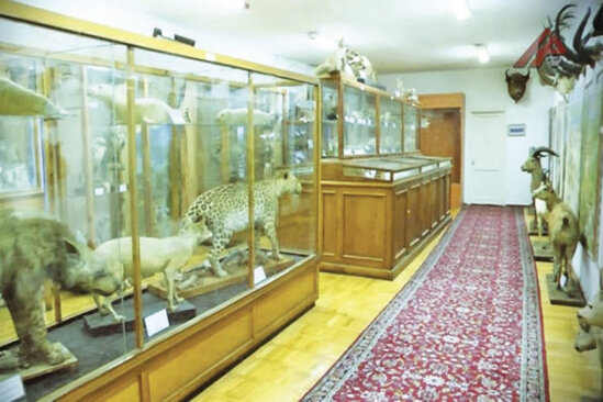 Bakıda 400 milyon illik xəzinənin saxlanıldığı məkan - VİDEO