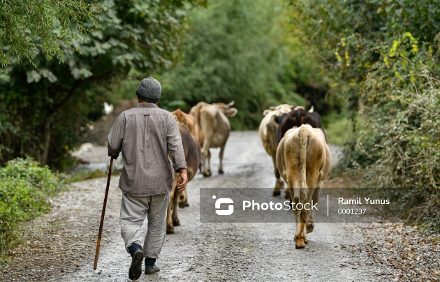 Ağdaşda çobanın meyiti tapıldı