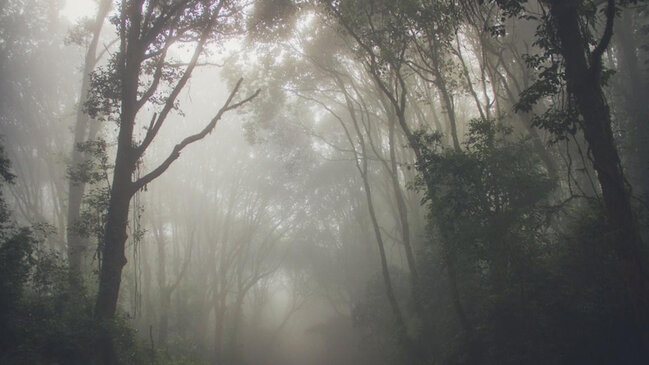 Alimlər Afrikada heç kimin gözləmədiyi bir hadisəni qeydə alıb