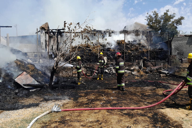 Naxçıvanda yanğında 15 baş heyvan tələf olub