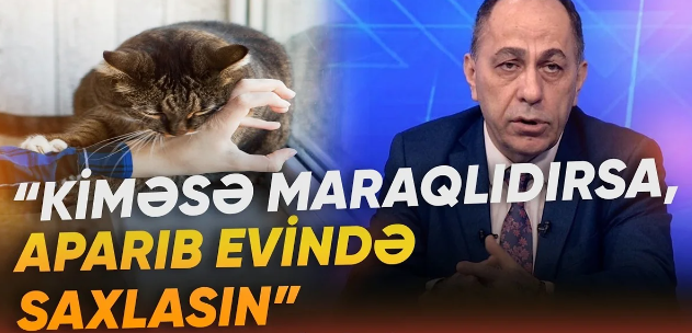 Dörd yaşlı uşağın quduzluğa yoluxması həyəcan yaratdı: Həkimdən ciddi XƏBƏRDARLIQ - VİDEO