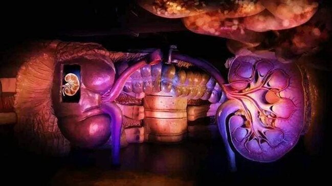 Burada insan ağzının içində gəzirlər - Qəribə məkan