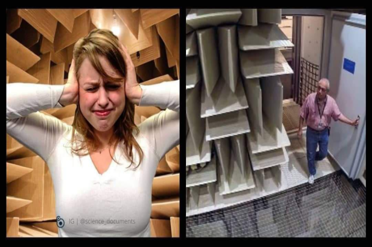 Dünyanın ən sakit otağı. İnsanlar 45 dəqiqədən sonra burada dəli olmağa başlayırlar