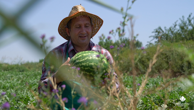 Veysəloğlu Şirkətlər Qrupu bu il yerli fermerlərdən 47 milyon manatlıq kənd təsərrüfatı məhsulu alıb