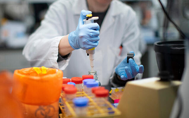 Yeni virus SÜRƏTLƏ YAYILIR – 1200 nəfər yoluxdu – Xəstəliyi, sən demə, ağcaqanadlar…