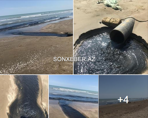 Novxanı dənizində İYRƏNC MƏNZƏRƏ: Kanalizasıya suyu axıdılır – FOTOFAKT
