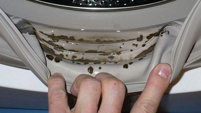 Paltaryuyan maşını kifdən qorumağın ən sadə üsulu