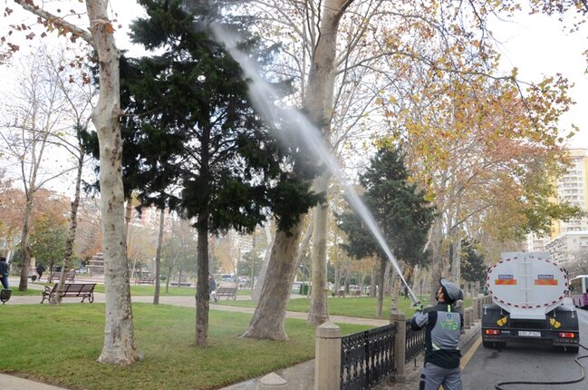Bakıda ümumşəhər sanitar günü keçirildi