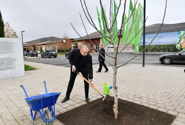İlham Əliyev "Şəki-Oğuz" Aqroparkında yaradılan şəraitlə tanış olub - YENİLƏNİB + FOTO
