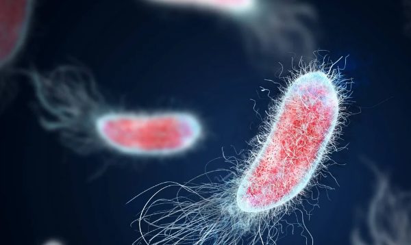 Təkrarlanan infeksiyalar nədən xəbər verir? - VİDEO