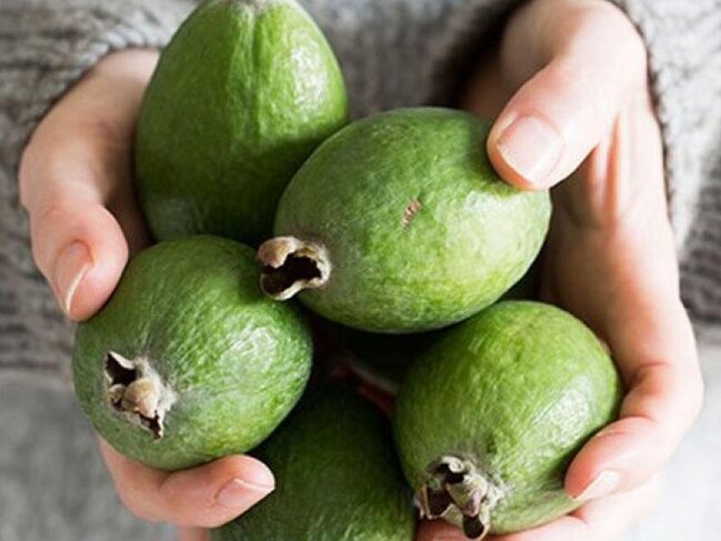 Yodla zəngin feyxoa möcüzəsi - Zobun, prostatın dərmandır