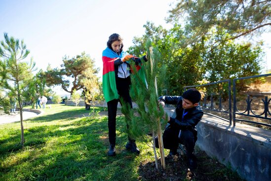 Şəhid övladları Şuşada ağac əkdilər - FOTO
