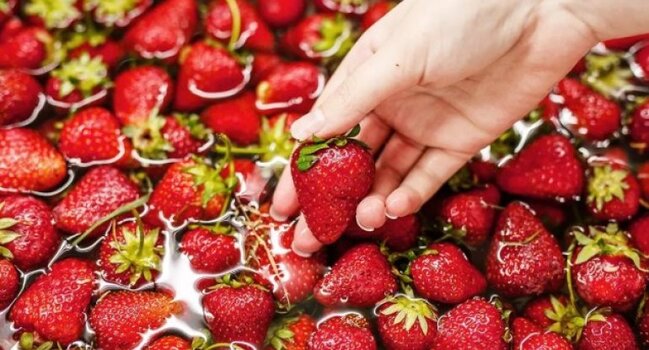 Çiyələyi yumağın doğru yolu: bilmədiyiniz vacib detallar