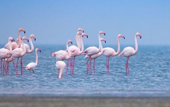 Vətəndaşların NƏZƏRİNƏ: Bazar günü təbiət qoynunda pulsuz istirahət etmək imkanı var - FOTO