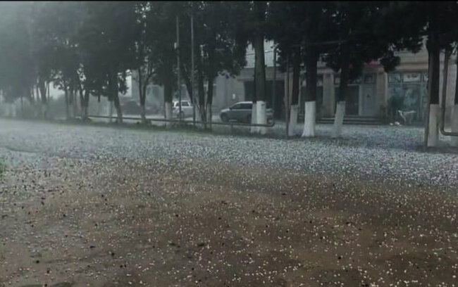Lənkəranın 5 kəndinə dolu düşdü - Foto