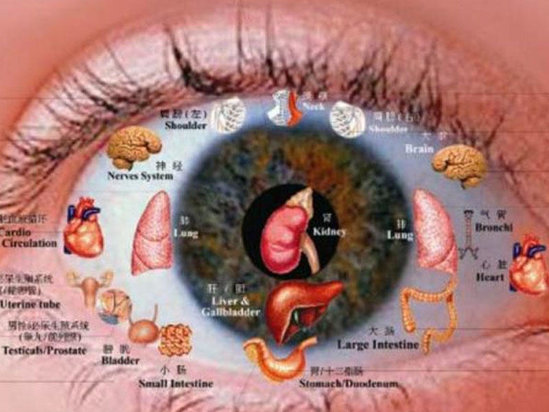 Qaraciyər və gözləri möhkəmləndirən məhsullar