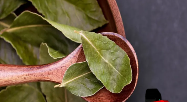 Yanvar ayının bu tarixlərində dəfnə yarpağı yandırın: Görün HƏYATINIZ NECƏ DƏYİŞƏCƏK