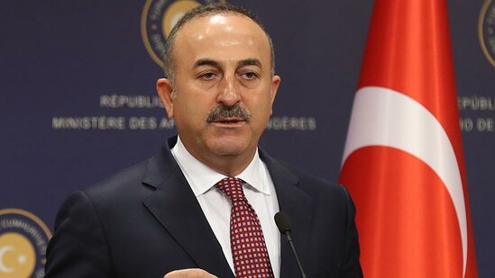 Türkiyə ABŞ-ın Qolan yüksəklikləri ilə bağlı qərarını pisləyib