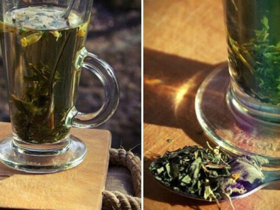 Mastopatiya bu iki bitkidən qorxur - Reseptlər