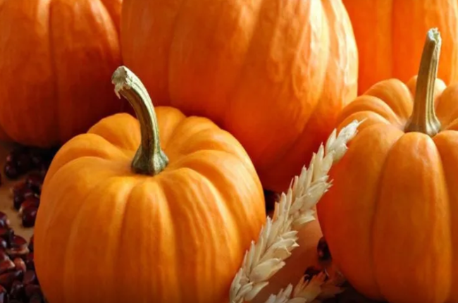 Balqabağı nəcə bişirmək olar? - 3 SİRR