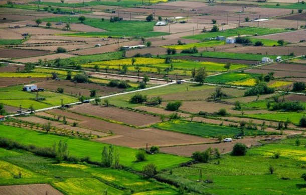 Bakıda torpaq sahələri 20 faiz bahalaşdı