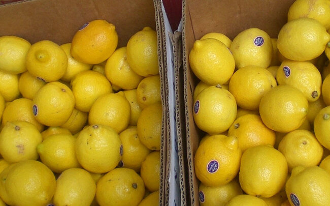 Limon alarkən ehtiyatlı olun
