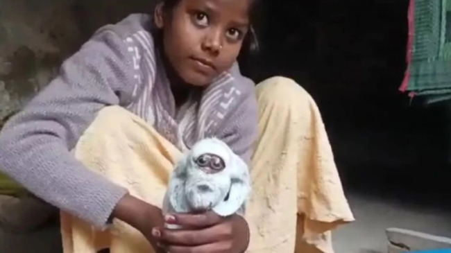 Üzü insan sifətinə bənzəyən keçi doğuldu - FOTO