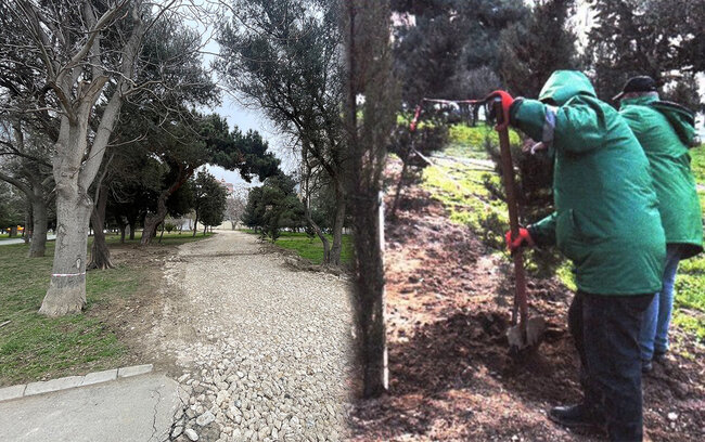"Zorge" parkının içindən yol salınıb? - Fotolar