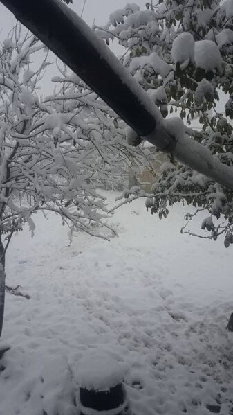 Ağsu ağ örpəyə büründü-FOTOLAR