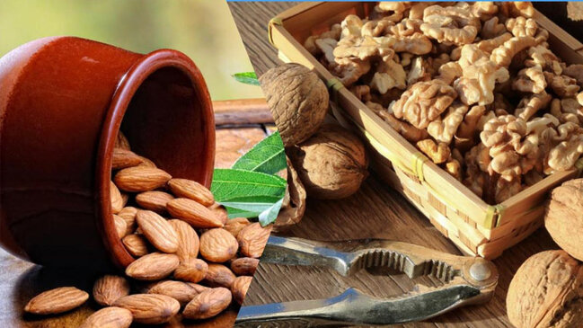 Qoz, yoxsa badam: Hansı beyin üçün daha faydalıdır?