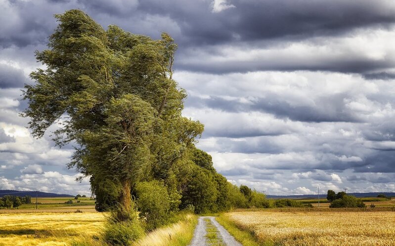 FHN hava şəraiti ilə əlaqədar vətəndaşlara müraciət etdi