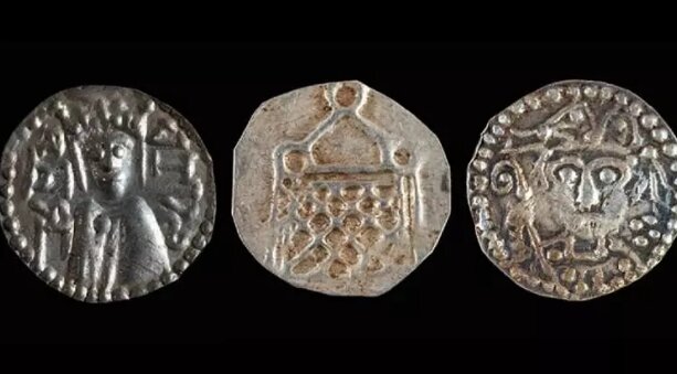 Bağında qurd axtarırdı, xəzinə tapdı - Fotolar