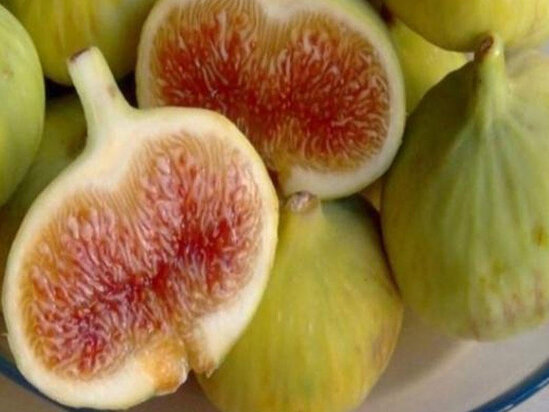 Ürəyin dostu, sonsuzluğun dərmanı- Əncirin bilmədiyimiz FAYDALARI