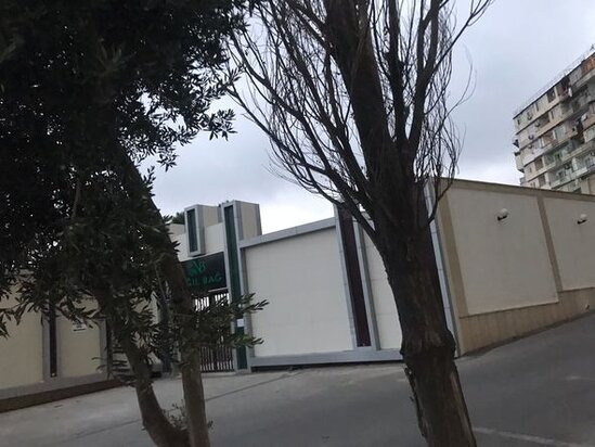 Bakıda ağacların dibi betonlanıb: Yaşıllaşdırma idarəsindən AÇIQLAMA - FOTO