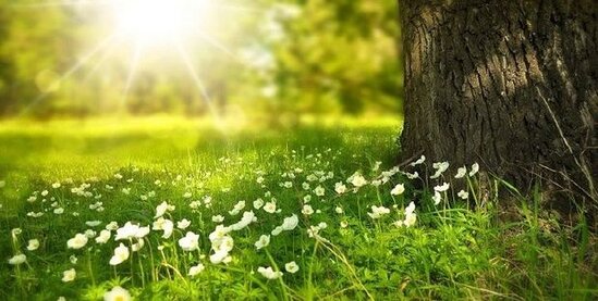 Həftənin ilk günü hava necə olacaq? - PROQNOZ