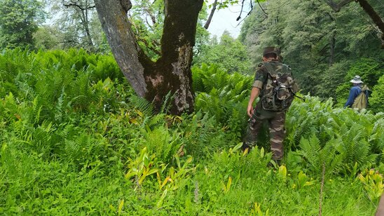Hindistanlı turistin axtarışları davam etdirilir - Video