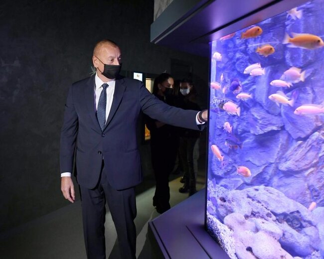 Prezidentlə ailəsi zooparkın açılışında - FOTOLAR