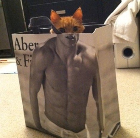 İnternet tarixinin ən komik FOTOLARI