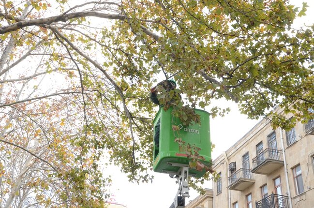 Bakıda ümumşəhər sanitar günü keçirildi