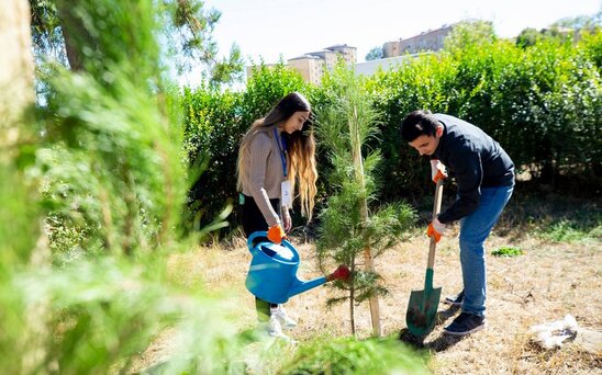 Şəhid övladları Şuşada ağac əkdilər - FOTO