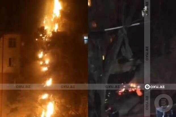 Bakıda bayram tonqalının ağacları yandırmasına dair görüntülərə aydınlıq gətirildi - YENİLƏNİB + VİDEO