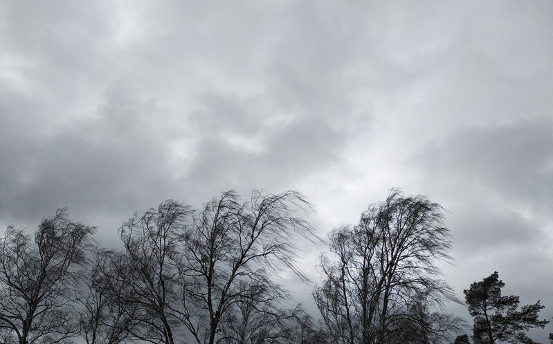 Bakıda və Abşeron yarımadasında küləyin sürəti saniyədə 23-25 metrədək güclənib