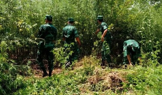 İranın Qarabağdan narkotranzit kimi istifadəsi ilə bağlı yeni görüntülər üzə çıxdı - VİDEO
