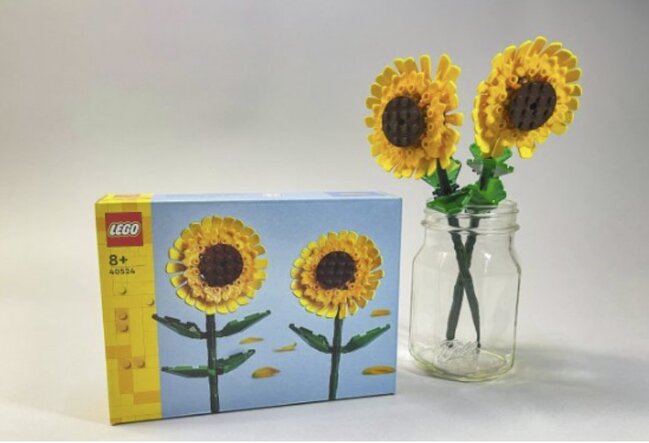 Hər bir liderin stoluna qoyulan - Günəbaxanların sirri...