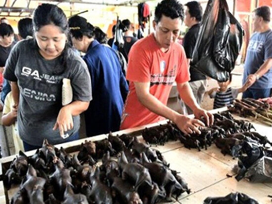 Çin koronavirusa səbəb olan yarasaları yenidən satışa çıxardı - FOTO