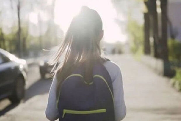 Bakıda məktəblidən nömrə istəyən şəxs cəzalandırıldı: "İşçimin qızına bənzətdim"