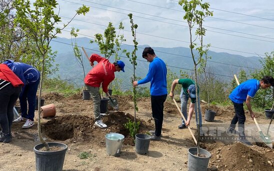 Ekofəallar Laçın-Xankəndi yolunda təmizlik və abadlıq işləri aparıblar, ağaclar əkiblər