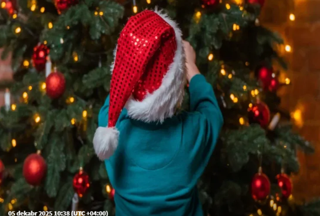 "Yolka"dan hansı oyuncaqları asmaq olmaz? - At ili onları sevmir