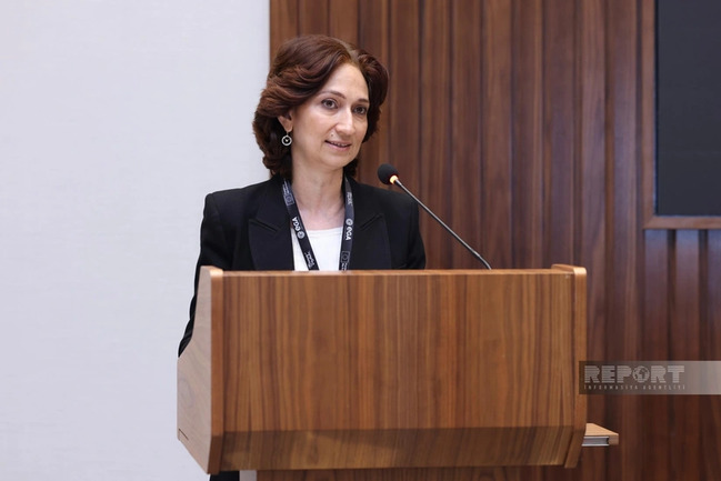 Aİ rəsmisi: "Qadınlar kibertəhlükəsizlik sektorunda yetərincə təmsil olunmurlar"