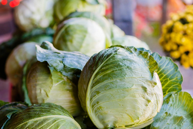 Azərbaycan Belarusa kələm tədarükünü bərpa edib